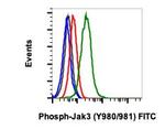 Phospho-Jak3 (Tyr980, Tyr981) Recombinant Rabbit Monoclonal Antibody (JAK3Y980981-E10), FITC