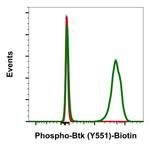 Phospho-Btk (Tyr551) Recombinant Rabbit Monoclonal Antibody (BtkY551-G12), Biotin