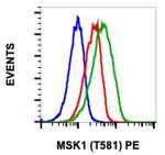 Phospho-MSK1 (Thr581) Recombinant Rabbit Monoclonal Antibody (MSK1T581-A5), PE