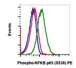 Phospho-NFKB p65 (Ser536) Antibody in Flow Cytometry (Flow)
