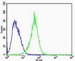 RAC1 Antibody in Flow Cytometry (Flow)