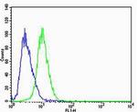 CBX8 Antibody in Flow Cytometry (Flow)