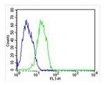FHIT Antibody in Flow Cytometry (Flow)