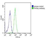 PGK1 Antibody in Flow Cytometry (Flow)