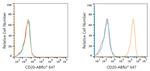 CD20 Antibody in Flow Cytometry (Flow)