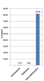 5-hydroxymethylcytosine Monoclonal Antibody (DTA1002)
