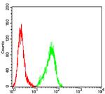 ACTH Antibody in Flow Cytometry (Flow)