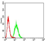 ACVR1 Antibody in Flow Cytometry (Flow)