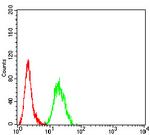 ADAM10 Antibody in Flow Cytometry (Flow)