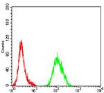 ATG4B Antibody in Flow Cytometry (Flow)