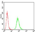 ATG5 Antibody in Flow Cytometry (Flow)