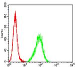 C1QA Antibody in Flow Cytometry (Flow)