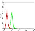 Caldesmon Antibody in Flow Cytometry (Flow)