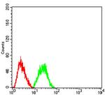 CBX2 Antibody in Flow Cytometry (Flow)