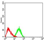 CD248 Antibody in Flow Cytometry (Flow)