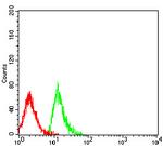 CD299 (DC-SIGN/L) Antibody in Flow Cytometry (Flow)
