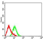 FCRL1 Antibody in Flow Cytometry (Flow)