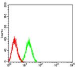 FCRL2 Antibody in Flow Cytometry (Flow)