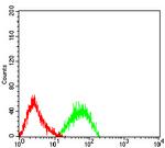 CD307e (FcRL5) Antibody in Flow Cytometry (Flow)