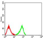 CLEC9A Antibody in Flow Cytometry (Flow)