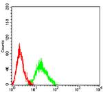 CHRM5 Antibody in Flow Cytometry (Flow)