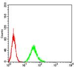 DAPP1 Antibody in Flow Cytometry (Flow)