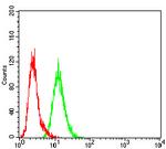 FSHR Antibody in Flow Cytometry (Flow)