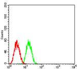 GLI1 Antibody in Flow Cytometry (Flow)