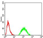JARID2 Antibody in Flow Cytometry (Flow)