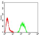KMT2C Antibody in Flow Cytometry (Flow)