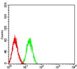 LRP1B Antibody in Flow Cytometry (Flow)