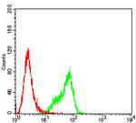 MYLK Antibody in Flow Cytometry (Flow)