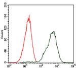 PDX1 Antibody in Flow Cytometry (Flow)