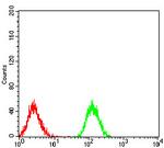 PLCG1 Antibody in Flow Cytometry (Flow)