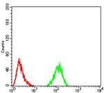 RAD50 Antibody in Flow Cytometry (Flow)