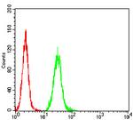 RALB Antibody in Flow Cytometry (Flow)