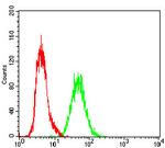 RAP1GAP Antibody in Flow Cytometry (Flow)