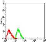 RBFOX2 Antibody in Flow Cytometry (Flow)