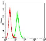 SALL4 Antibody in Flow Cytometry (Flow)