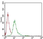 SERPINA7 Antibody in Flow Cytometry (Flow)