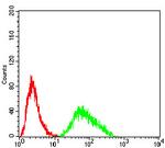 SH3GL1 Antibody in Flow Cytometry (Flow)