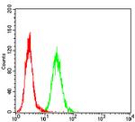 Acrosomal Vesicle Protein Antibody in Flow Cytometry (Flow)