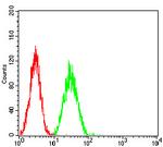 Acrosomal Vesicle Protein Antibody in Flow Cytometry (Flow)