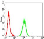 TOP2A Antibody in Flow Cytometry (Flow)