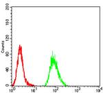 Human Parvovirus VP2 Antibody in Flow Cytometry (Flow)
