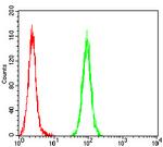 WT1 Antibody in Flow Cytometry (Flow)