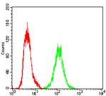 Ku70 Antibody in Flow Cytometry (Flow)