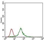 Rex1 Antibody in Flow Cytometry (Flow)