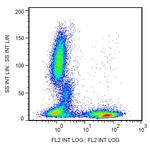CD5 Antibody in Flow Cytometry (Flow)