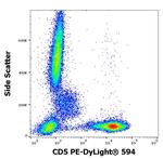 CD5 Antibody in Flow Cytometry (Flow)